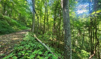 Jacks Knob Road, Barnardsville, NC 28709