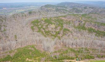 163 Acres Duck Springs Rd, Attalla, AL 35954