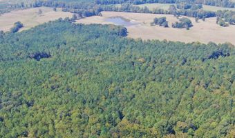 0 CR 320, Big Creek, MS 38914