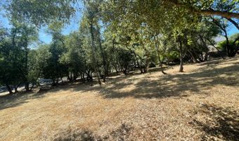 295 Mary Belle Way, Angels Camp, CA 95222
