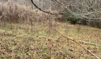 Julius Bridge Road, Ball Ground, GA 30107