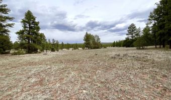 99 Big Notch Forest Trl, Bluewater, NM 87005
