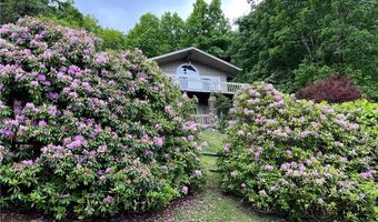 281 Cliffside Ln, Banner Elk, NC 28604