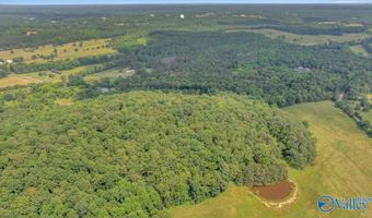 1228 Matt Morrow Rd, Arab, AL 35016