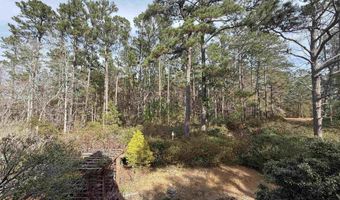 35 Ramblewood Dr, Andrews, SC 29510