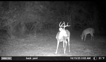 6838 HIGHWAY 167, Bernice, LA 71222