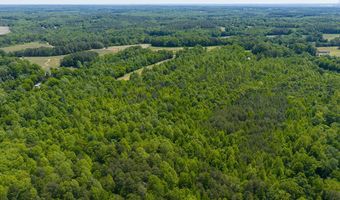 1239 Pointer Rd, Alton, VA 24520