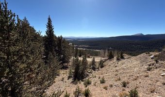 0 County Road 787, Alma, CO 80420