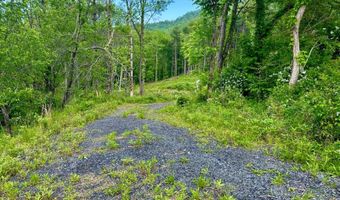 000 Pumpkin Patch Rd, Bakersville, NC 28705