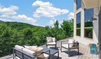 9 Bees Mountain Dr, Asheville, NC 28804