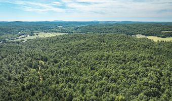 470 County Road 118, Annapolis, MO 63670