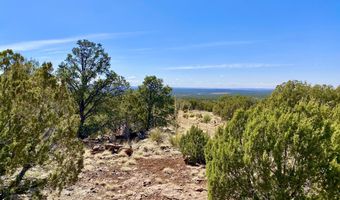 74 County Road 8056, Concho, AZ 85924