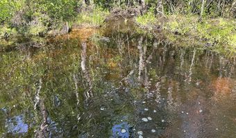 80 AC Old River Rd, Baker, FL 32531