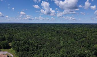 TBD Pine Street, Arkadelphia, AR 71923