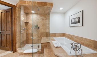 415 E Dean St Unit 20 Week 33, Aspen, CO 81611