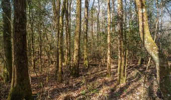 001 Old Stage Rd, Atmore, AL 36502