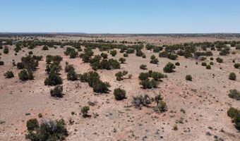 Tbd Rio Ranch, Concho, AZ 85924