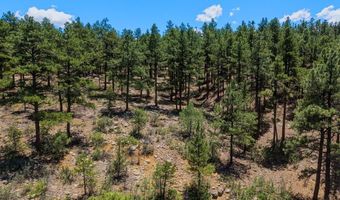 23251 Elk Trl, Aguilar, CO 81020