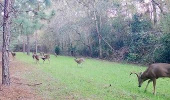 Highway 112, Abbeville, GA 31001