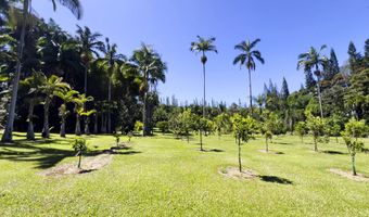 29-3707 KANNA Rd, Hakalau, HI 96710