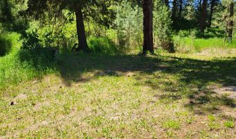 607 11 S Main St, Cascade, ID 83611