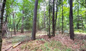 Dixon LN SE, Bogue Chitto, MS 39629