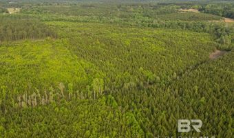 Flowers Road, Bay Minette, AL 36507