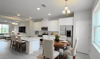 591 Pothos St, Apopka, FL 32703