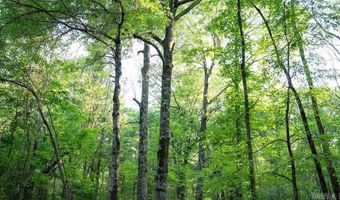 Cypress Lake Road, Beebe, AR 72012
