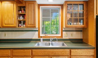 9707 ROGERS Rd, Alanson, MI 49706