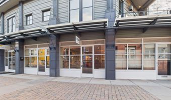 101 Founders Pl 102, Aspen, CO 81611