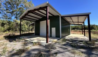 1011 Granny Hollar Rd, Atkins, AR 72823
