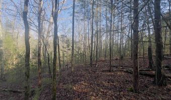 521 Mount Valley Rd, Blythewood, SC 29016