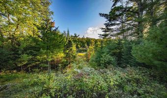 Luke Road, Amasa, MI 49903
