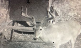 Fm-1304, Aquilla, TX 76622