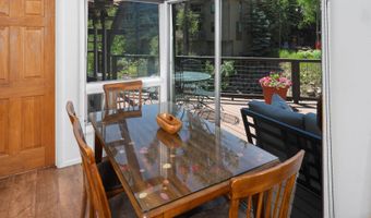 979 Queen St, Aspen, CO 81611