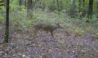 Whiskey Creek Lane, Batesville, AR 72501
