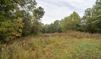 2421 Morrison Loop, Anderson, MO 64831