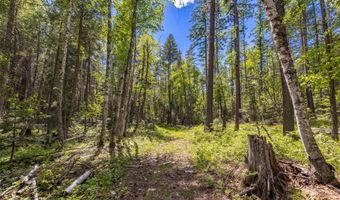 Nhn Red Hawk Drive, Bigfork, MT 59911
