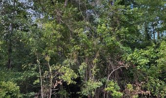 362 Timber Ln, Abbeville, AL 36310