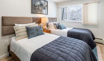 100 E DEAN St 1D, Aspen, CO 81611