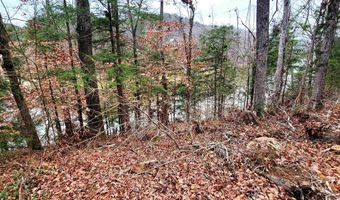 458 Co Rd 4036, Arley, AL 35541