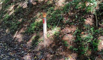 0 Mount Horeb Rd, Amherst, VA 24521