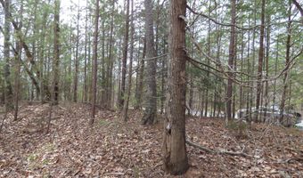 Bayside Blvd lot # 35, Bean Station, TN 37708