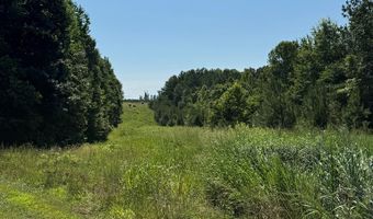 9891 Baskerville Rd, Baskerville, VA 23915