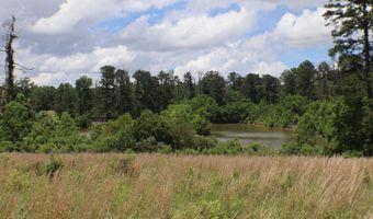 Vine Drive, Brandon, MS 39047