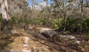 SW 22nd Pl, Bell, FL 32619