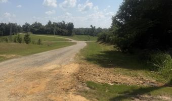 1007 CR 208, Blue Springs, MS 38828