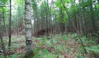 2782 River Rdg, Alger, MI 48610