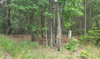 Wilkins Road, Alton, VA 24520
